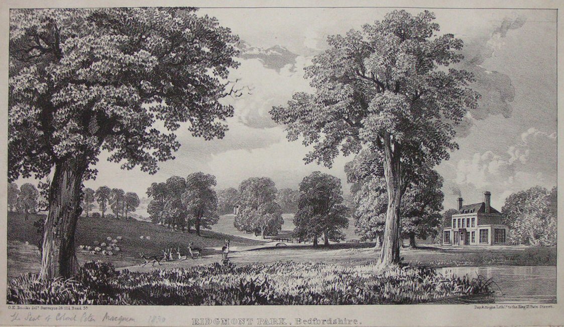 Lithograph - Ridgmont Park, Bedfordshire. - Day